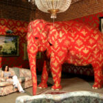 AN-ELEPHANT-IN-THE-ROOM