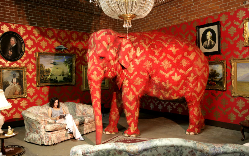 The Elephant on the Room